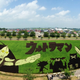 Illustration for article titled Behold These Incredible Artworks Grown from a Rice Field in Japan